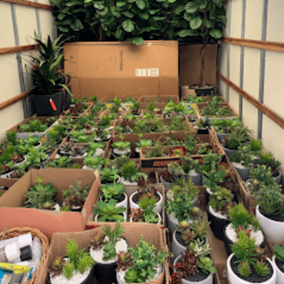 artificial plant services: PLANTS BEING DELIVERED
