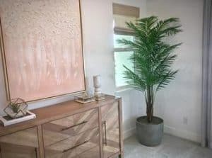 Areca Tropical Palm Tree FAQ's regarding artificial plantsFAQ's about artificial trees