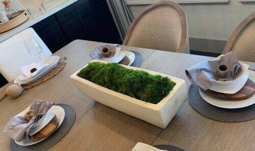 Mood Moss in long table planter