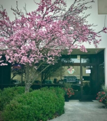 PREMIERE ARTIFICIAL PLANT COMPANY