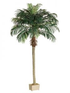 Artificial Phoenix Palm