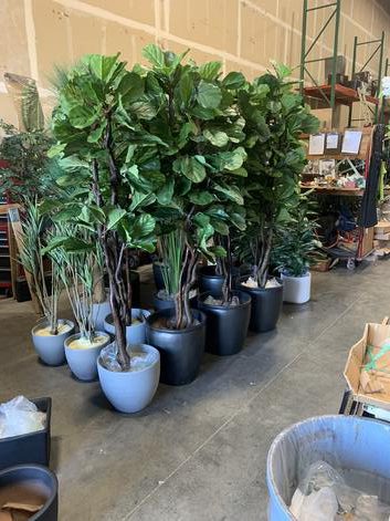 STAGING AREA FOR ARTIFICIAL TREES ABOUT TO BE DELIVERED