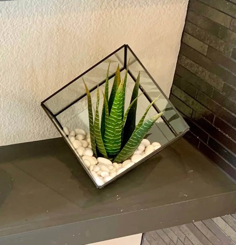 Faux Succulent in small glass terrarium