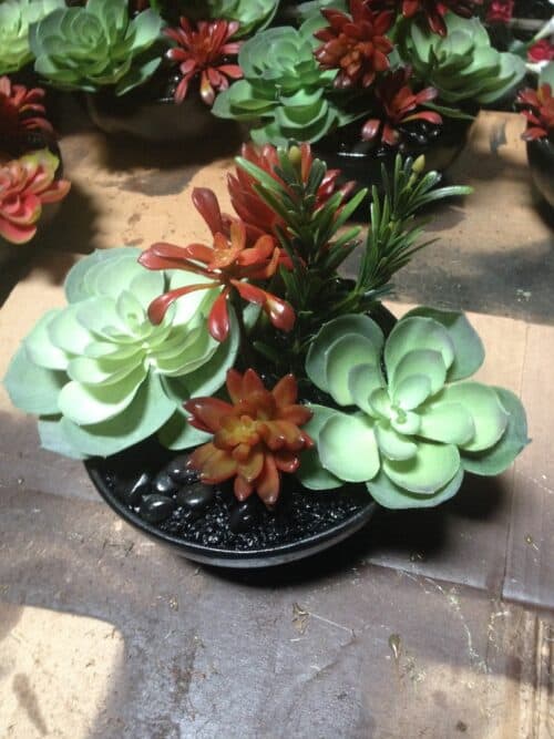 Faux Succulents in small black bowl