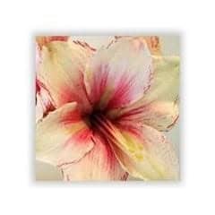 amaryllis silk flower