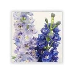 delphinum flower