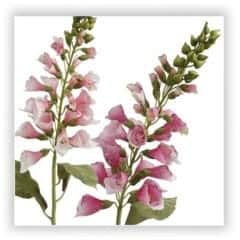 foxglove silk flower