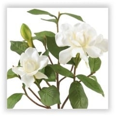 gardenia silk flower