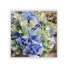 hydrangea silk flower