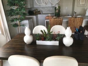 model home plant - Areca Palm and Succulents plants for staging a home