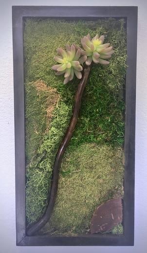 moss with curly willow stick and succulents.