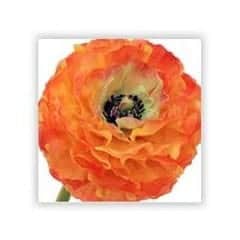 ranunculus silk flower