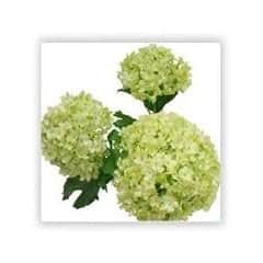 snowball faux stem flower