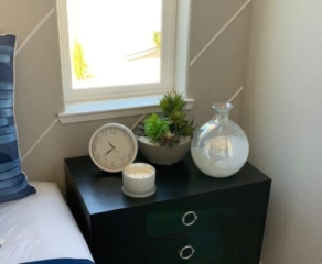 Succulent arrangements in bowl with white rocks