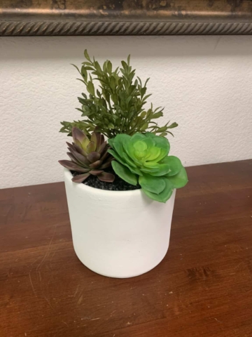 artificial succulents in 6inch bowl