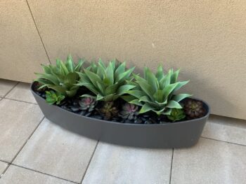 Outdoor artificial Agave plants