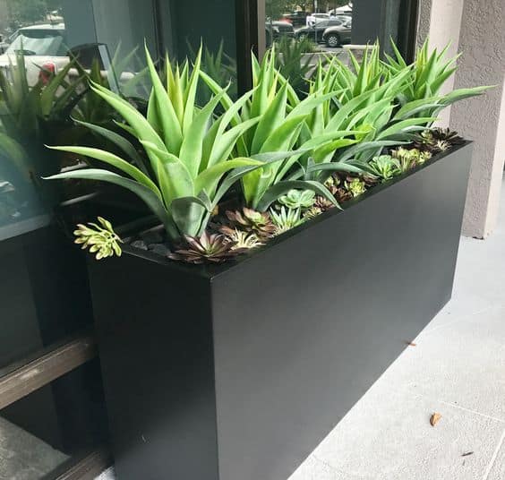 outdoor artificial agave with succulent