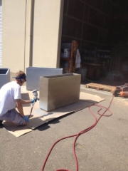 artificial plant services: Professional painting