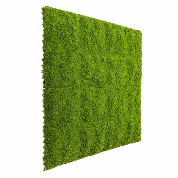 Premium Artificial Evergreen Moss