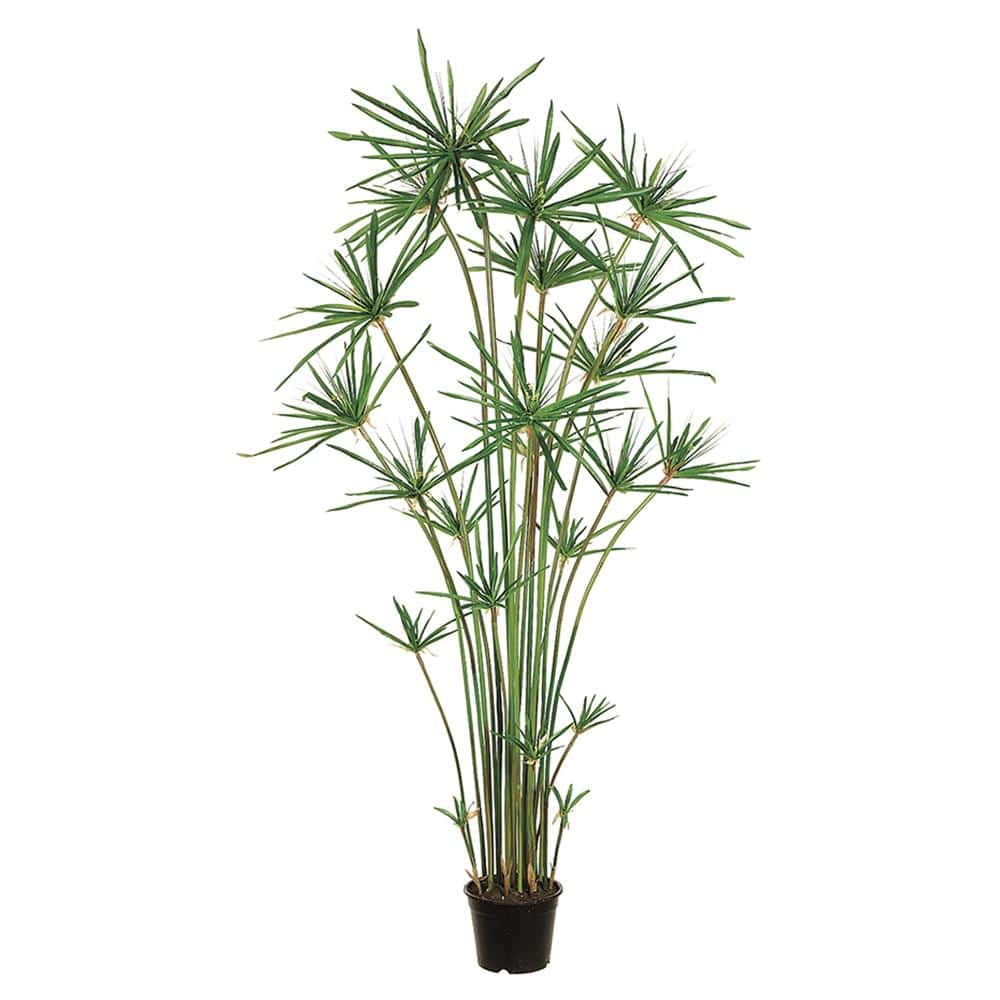 artificial Cypress Grass Tree
